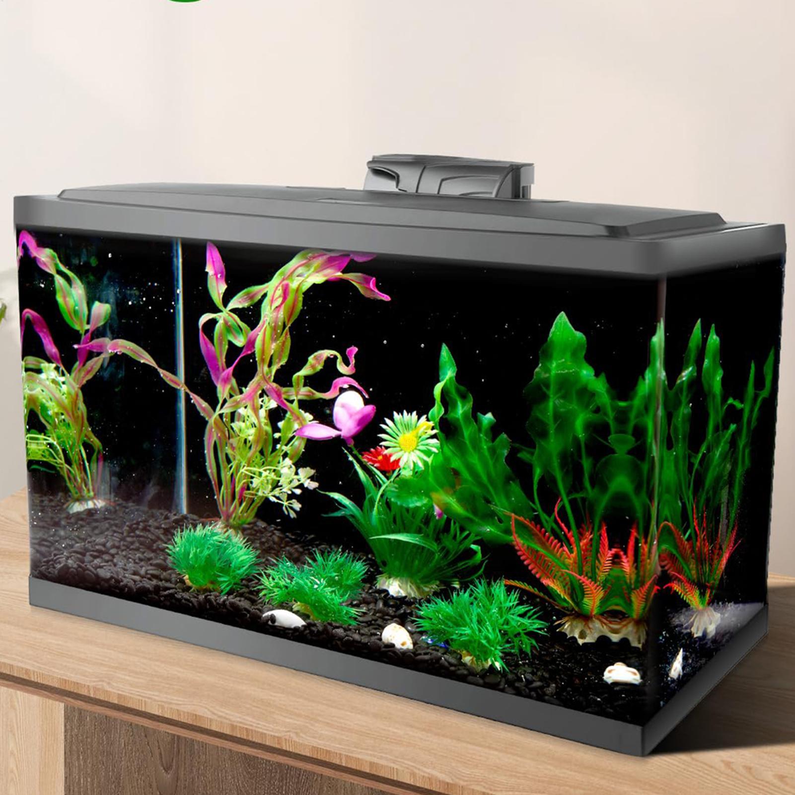 Aquarium Fish Wallpaper - Black Aquarium Background Picture Aquarium Wallpaper