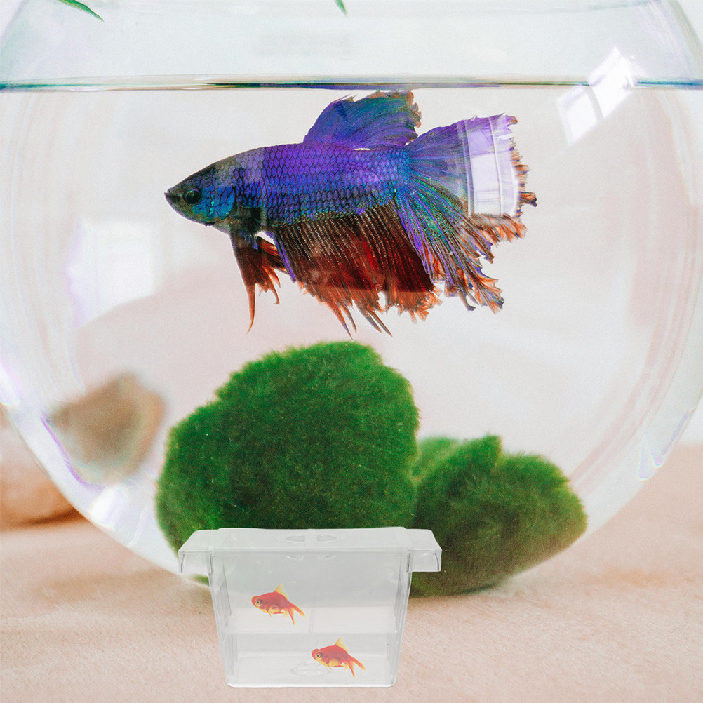 Aquarium Fish Rate - 4Pcs Self-Floating Fish Fry Incubator Box