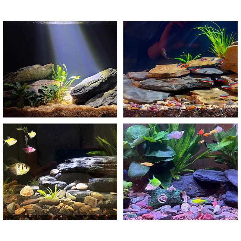 500/1000g Fish Tank Landscape  - Aquarium Fish Saltwater ulasan dan harga