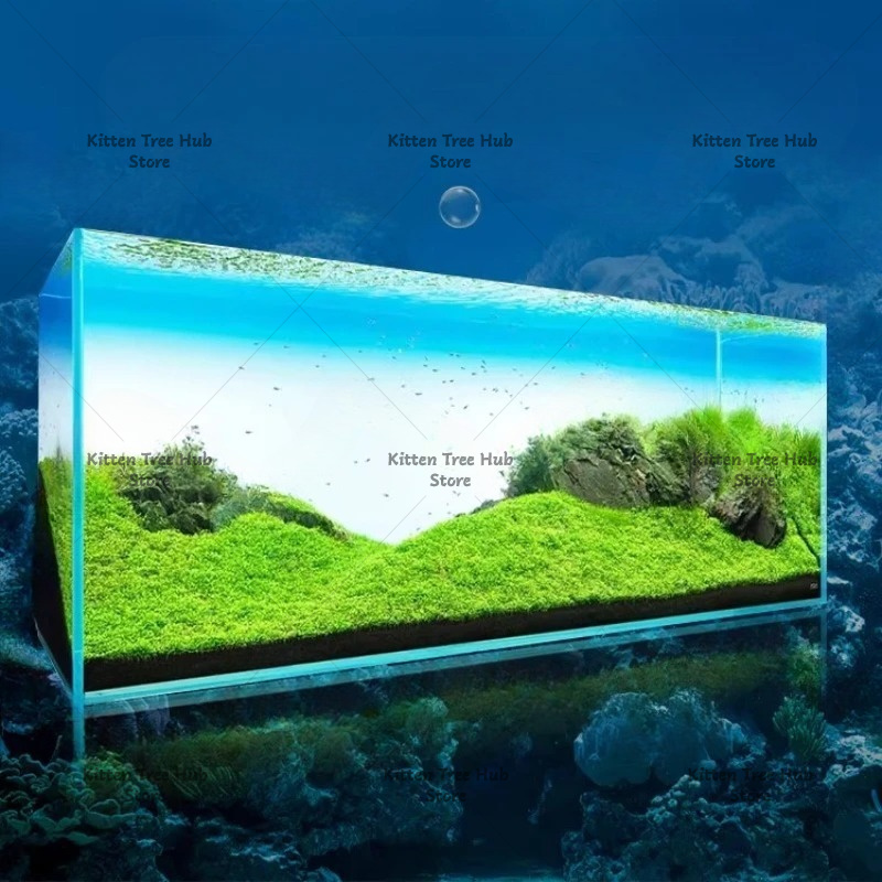 Fish Tank Background Board LED - Aquarium Fish Rainbow ulasan dan harga