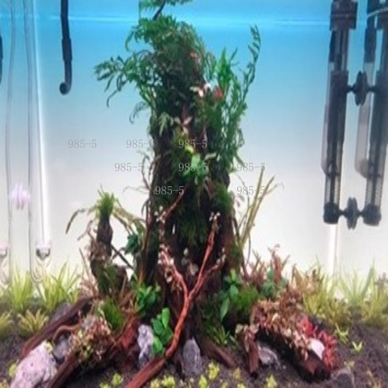 Fish Tank Acrylic Luminous Bac - Aquarium Fish Rainbow ulasan dan harga