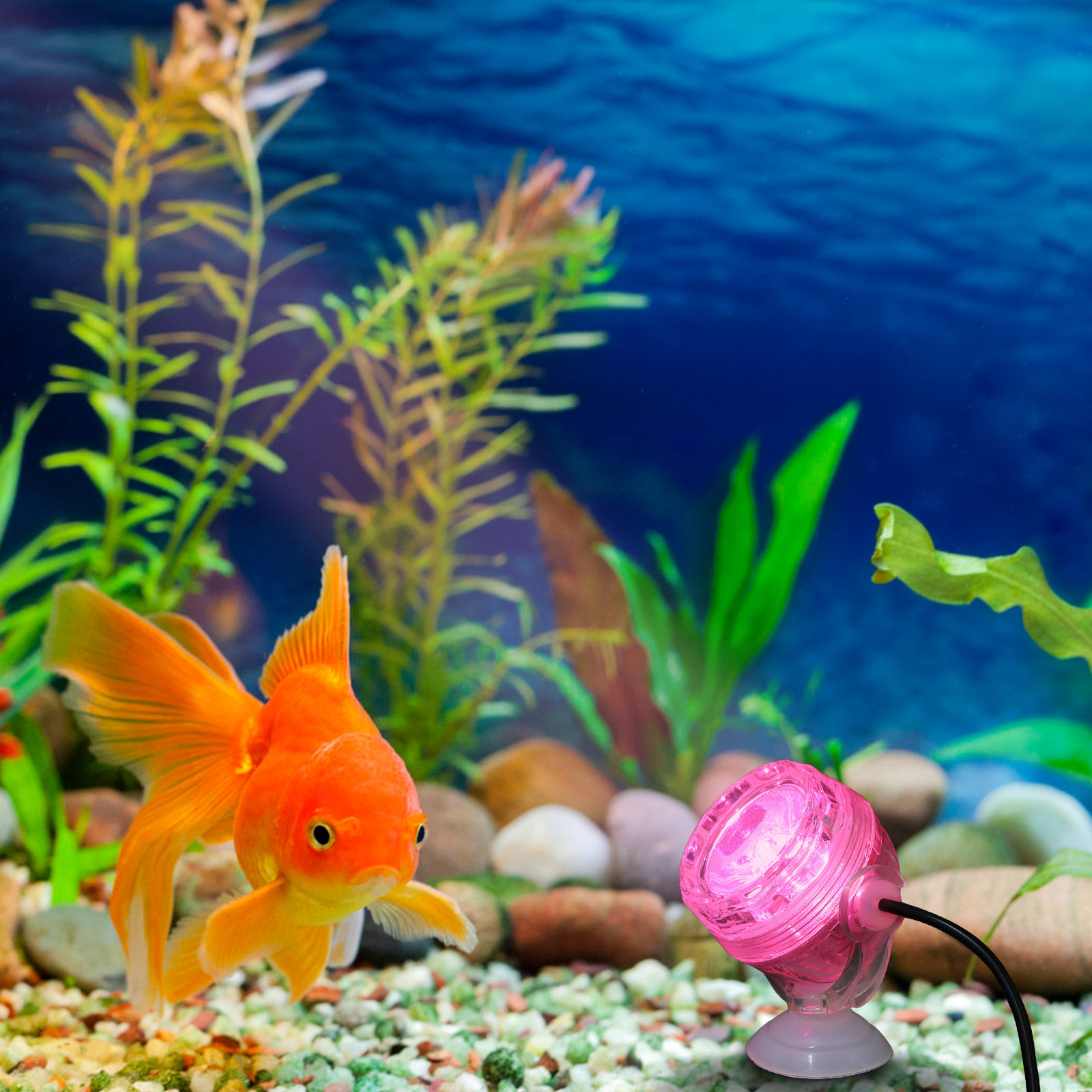 Waterproof Submersible LED Aqu - Aquarium Fish Rainbow ulasan dan harga
