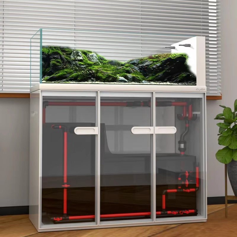 aquarium accessories Commercia - Aquarium Fish Saltwater ulasan dan harga