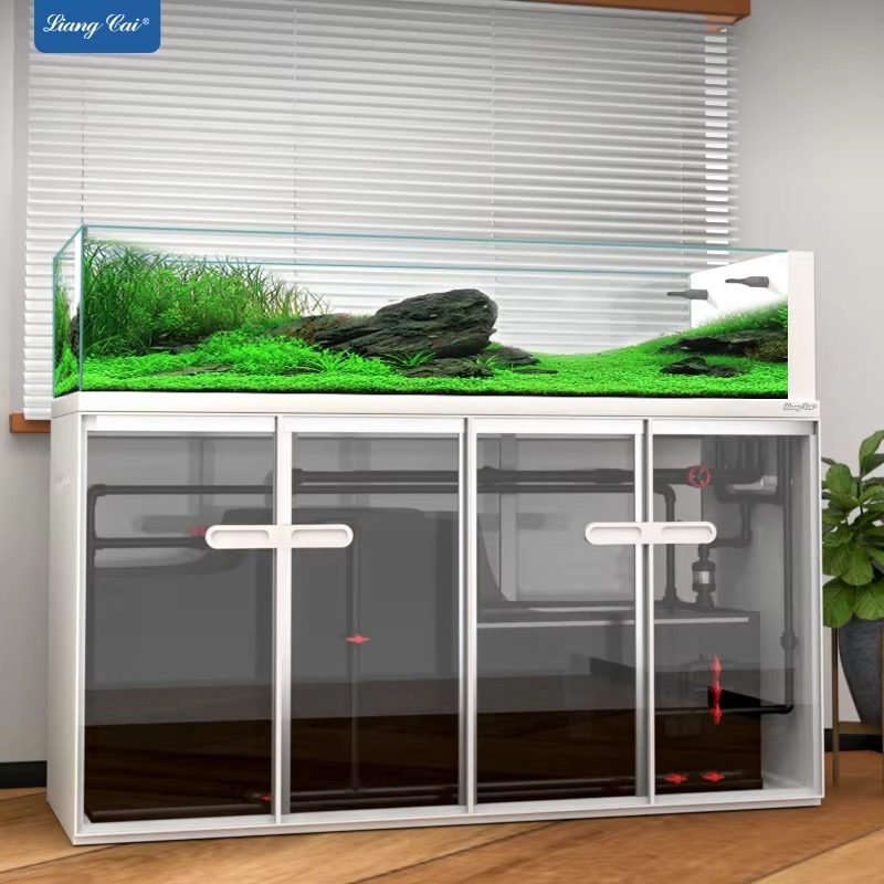 aquarium accessories Commercia - Aquarium Fish Saltwater ulasan dan harga