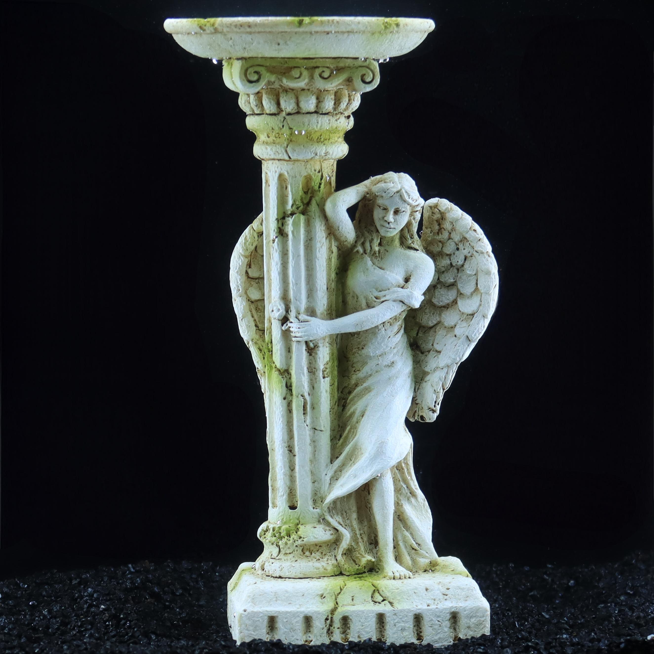 Roman angel, vintage Romantic  - Aquarium Fish Angel ulasan dan harga