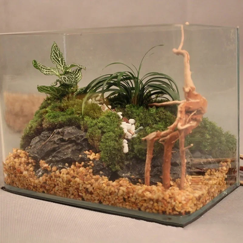 Natural Tree Trunk Driftwood A - Aquarium Fish Hide ulasan dan harga