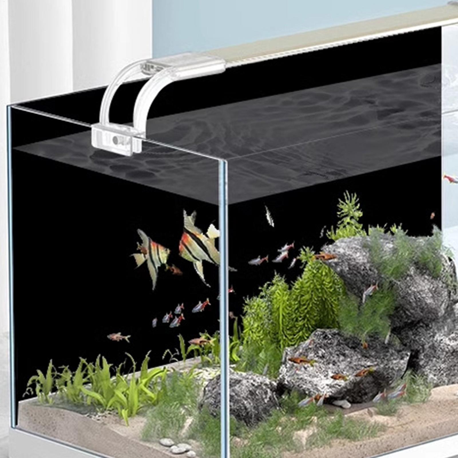 Black Aquarium Background Stat - Aquarium Fish Wallpaper ulasan dan harga