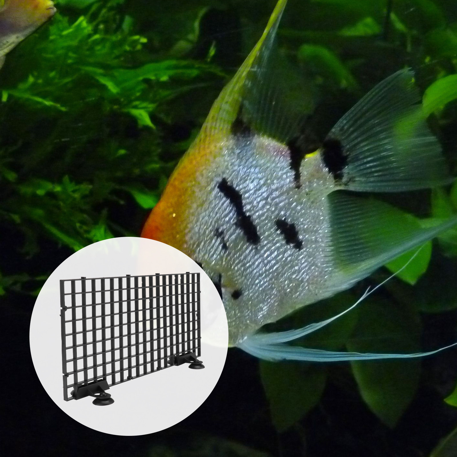 Fish Breeder Net Big Size Blac - Aquarium Fish Net Big Size ulasan dan harga