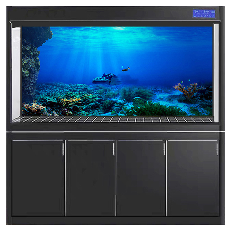 Fish Tank Background Decorativ - Aquarium Fish Of The World ulasan dan harga