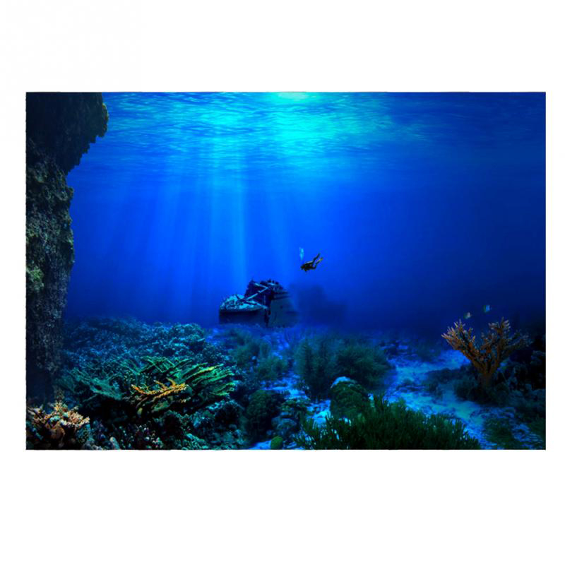 Fish Tank Background Decorativ - Aquarium Fish Of The World ulasan dan harga
