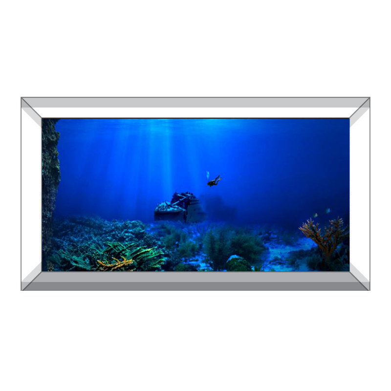 Fish Tank Background Decorativ - Aquarium Fish Of The World ulasan dan harga
