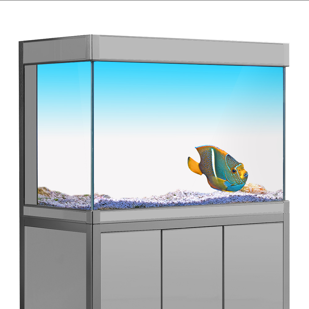 Fish Tank Background Sticker W - Aquarium Fish Wallpaper ulasan dan harga