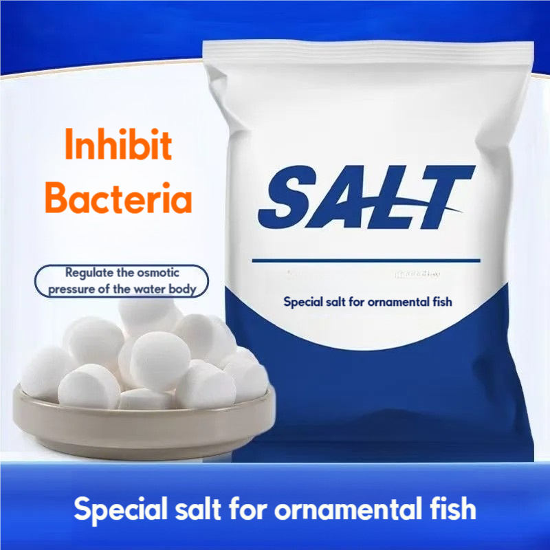 Ornamental Fish Special Salt T - Aquarium Fish Saltwater ulasan dan harga