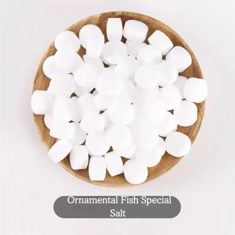 Ornamental Fish Special Salt T - Aquarium Fish Saltwater ulasan dan harga