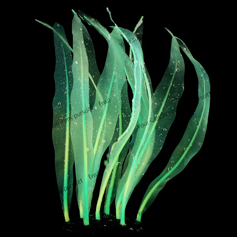 Simulated Kelp Plant Decoratio - Aquarium Fish Of The World ulasan dan harga