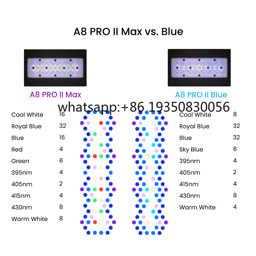 2026-A8 PRO II Max and Blue 24 - Aquarium Fish Saltwater ulasan dan harga