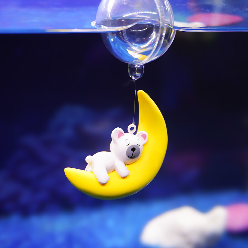 Aquarium Lovers Moon Bear Dive - Aquarium Fish Of The World ulasan dan harga
