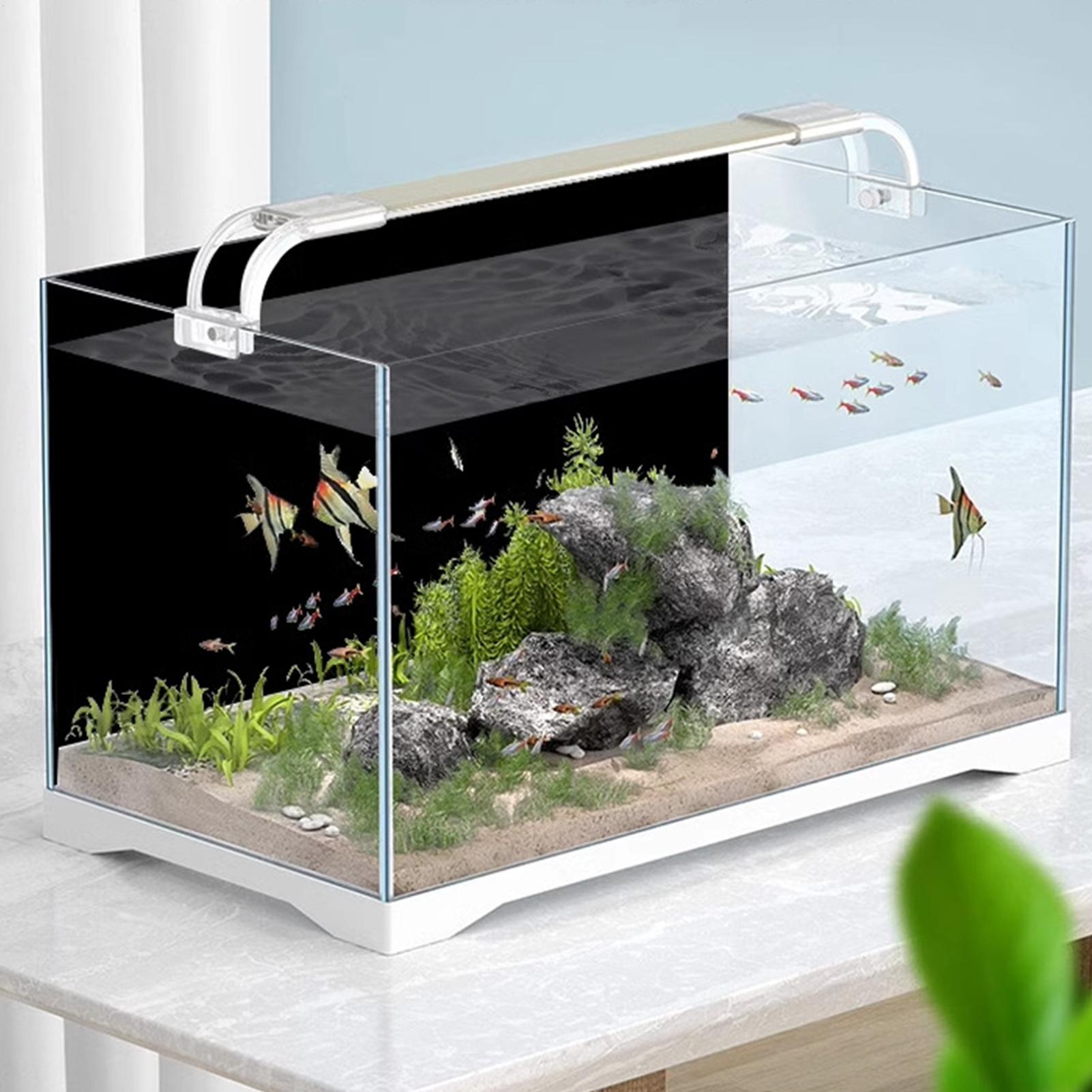Black Aquarium Background Pict - Aquarium Fish Wallpaper ulasan dan harga