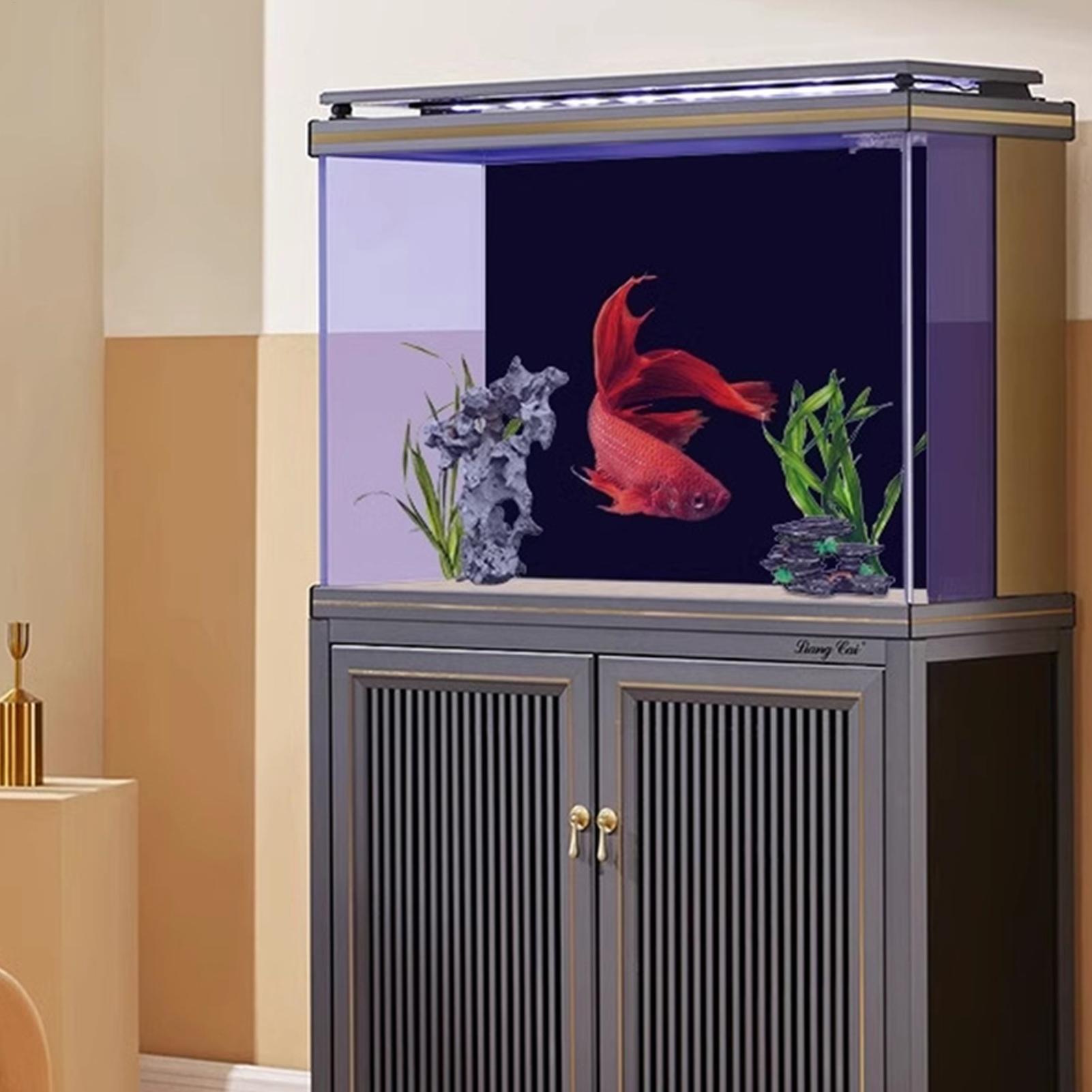 Black Aquarium Background Pict - Aquarium Fish Wallpaper ulasan dan harga