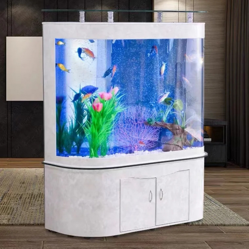 custom.Customized Fish 300 Gal - Aquarium Fish Saltwater ulasan dan harga