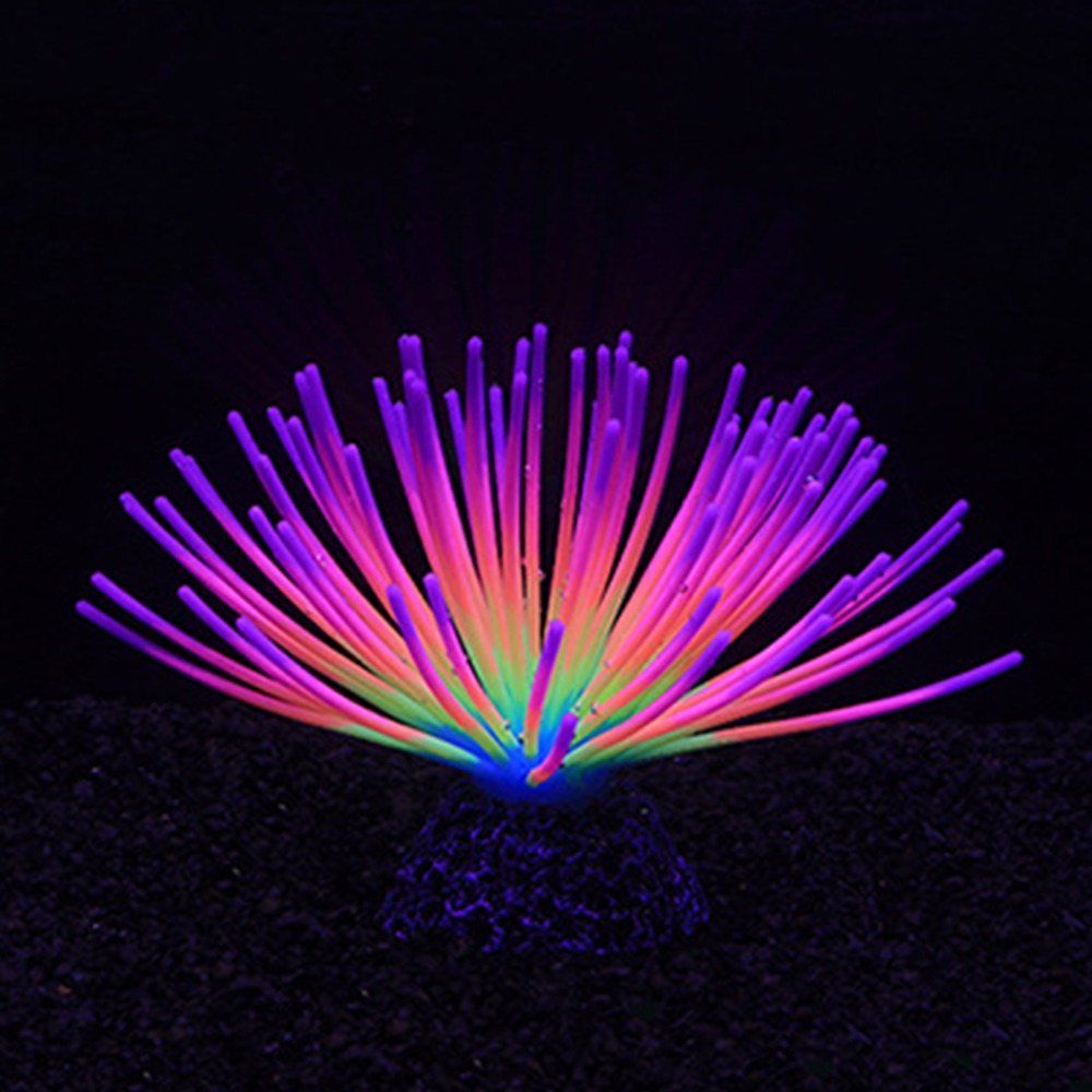 Colorful Aquarium Silicone Cor - Aquarium Fish Rainbow ulasan dan harga