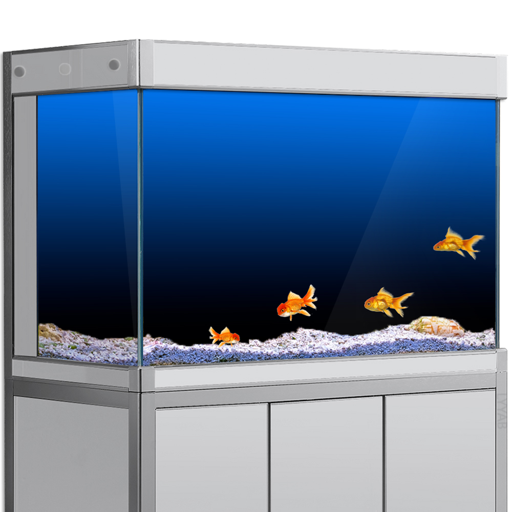 Fish Tank Background Sticker B - Aquarium Fish Wallpaper ulasan dan harga