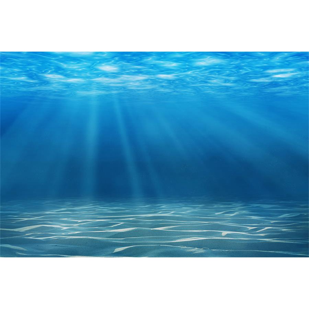 Underwater World Seabed Photog - Aquarium Fish Of The World ulasan dan harga