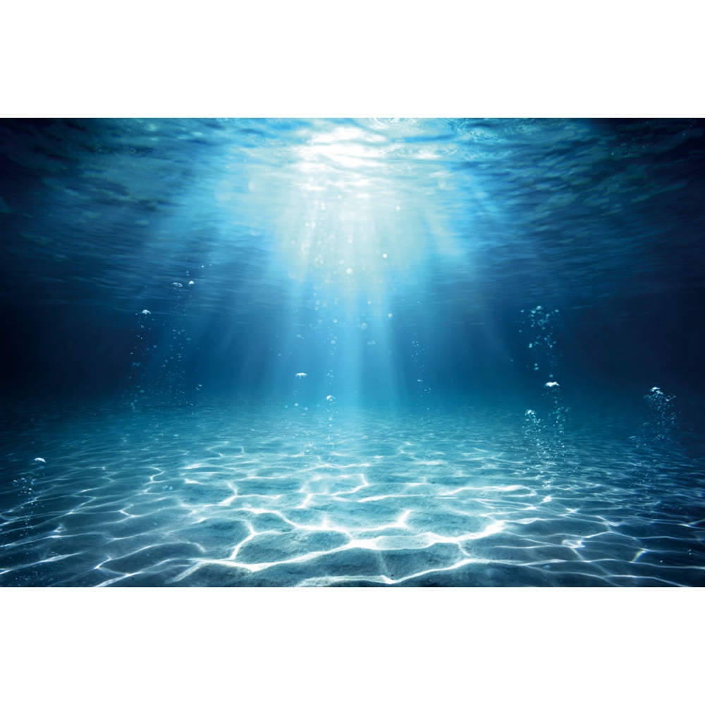 Underwater World Seabed Photog - Aquarium Fish Of The World ulasan dan harga