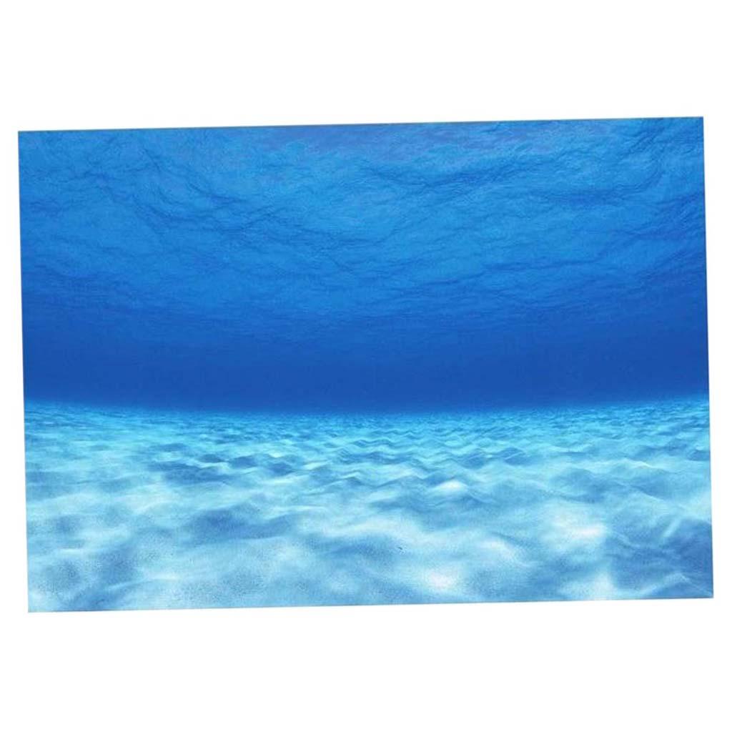 Side Decorative Aquarium Backg - Aquarium Fish Of The World ulasan dan harga
