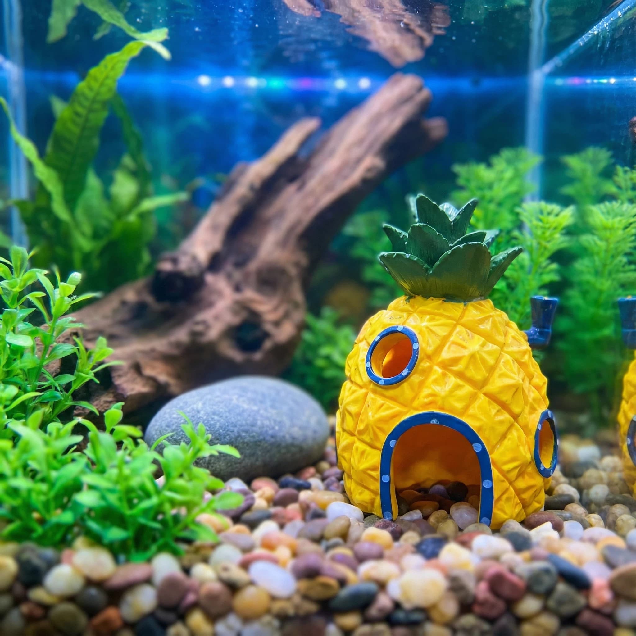 Pineapple House Aquarium Decor - Aquarium Fish Hide ulasan dan harga