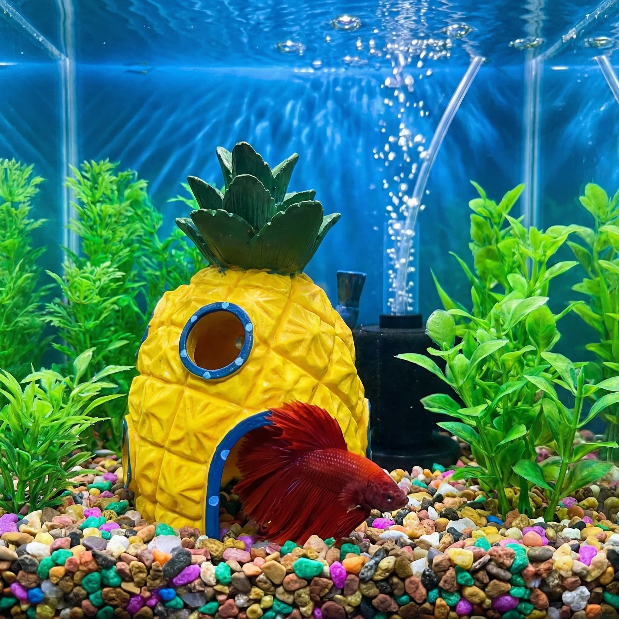 Pineapple House Aquarium Decor - Aquarium Fish Hide ulasan dan harga