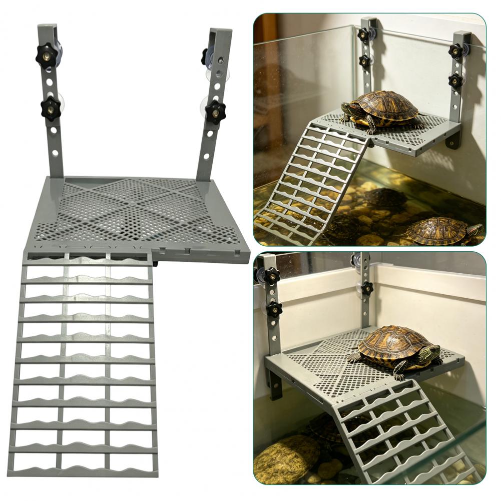 Aquarium Decoration Solid Form - Aquarium Fish Saltwater ulasan dan harga