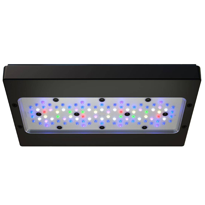 A8 PRO III Max and Blue 245W F - Aquarium Fish App ulasan dan harga