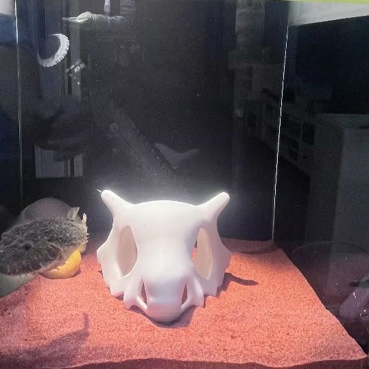 3D Printed FIsh Shrimp Reptile - Aquarium Fish Hide ulasan dan harga