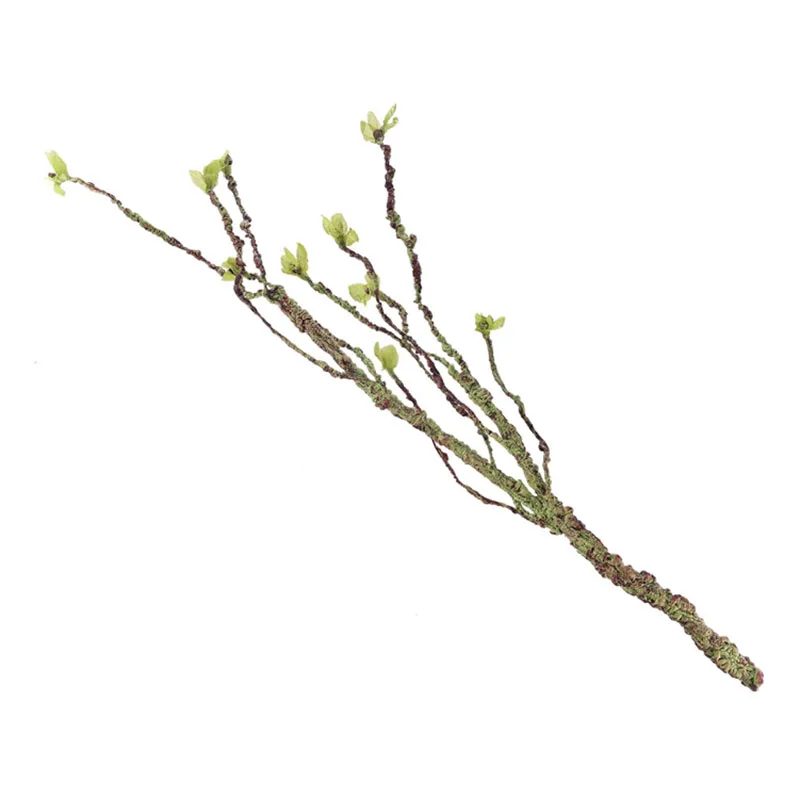 Vines Decor Climbing Branches  - Aquarium Fish Saltwater ulasan dan harga